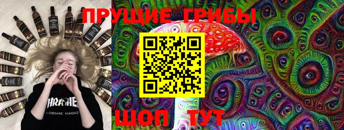 Псилоцибиновые грибы мицелий Волгоград