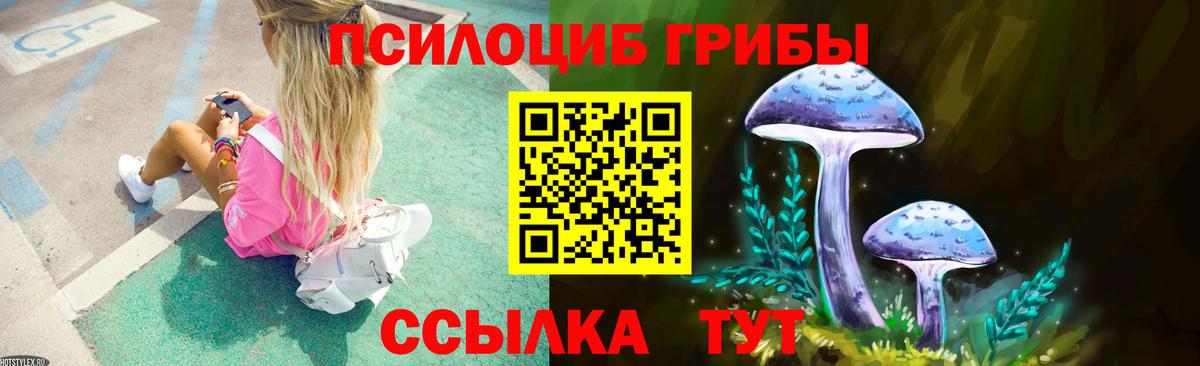 Волгоград  Псилоцибиновые грибы Psilocybine cubensis  Вход с VPN 